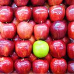 Kwetsbaarheid als ingang naar je ware zelf