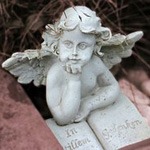 De kracht van je denken