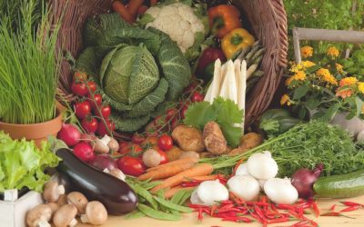 Waarom moeten gezonde eters zich verantwoorden?