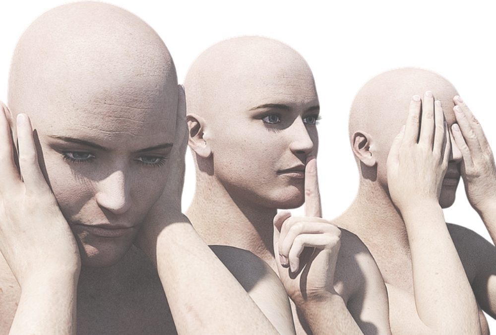 Lukt het om nee te zeggen en te gaan voor je talent?