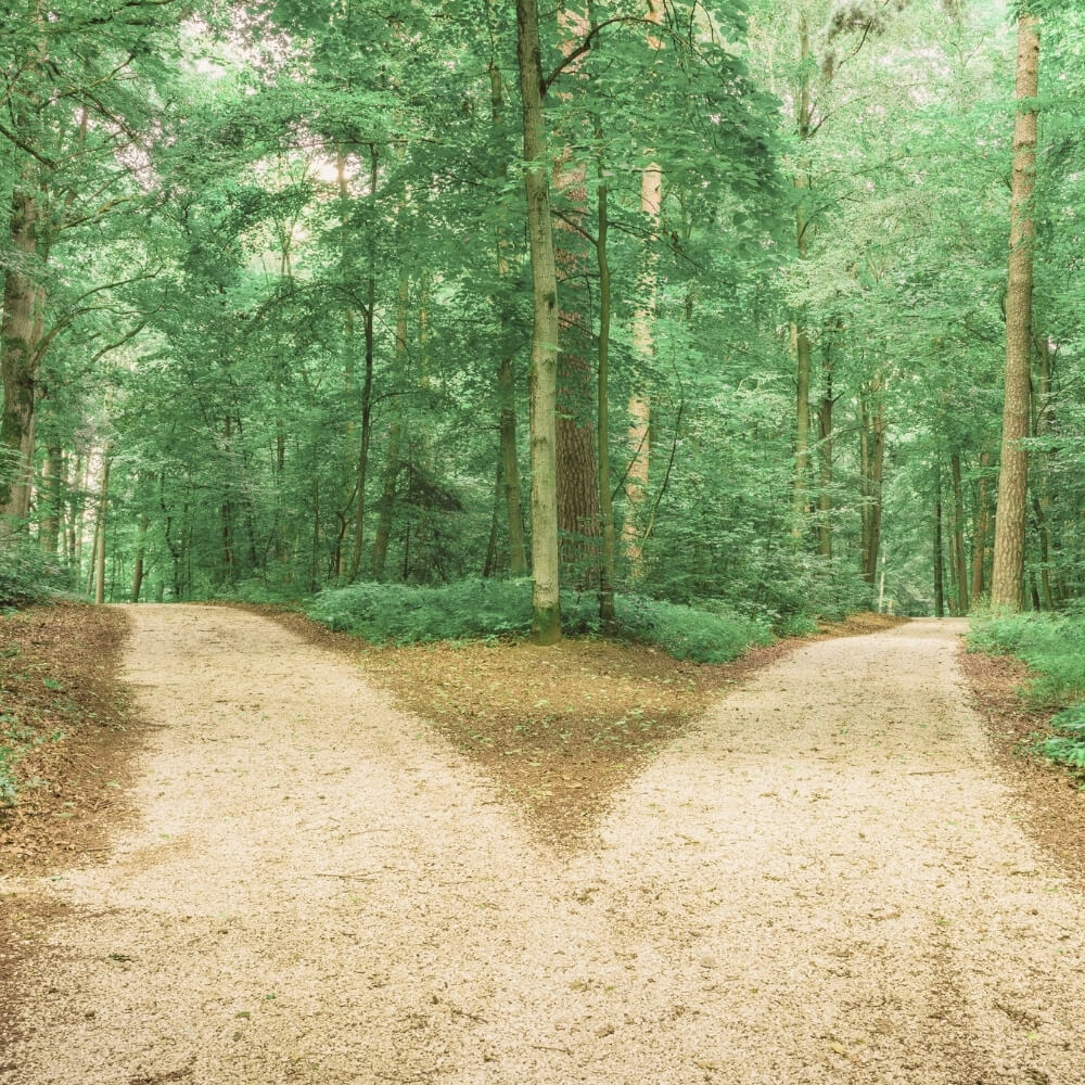 holistische coaching