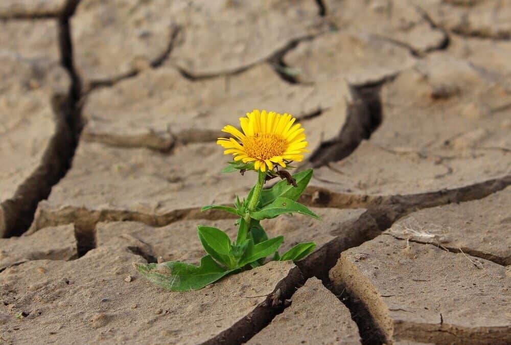 Overwin je angstgevoel en paniekmomenten