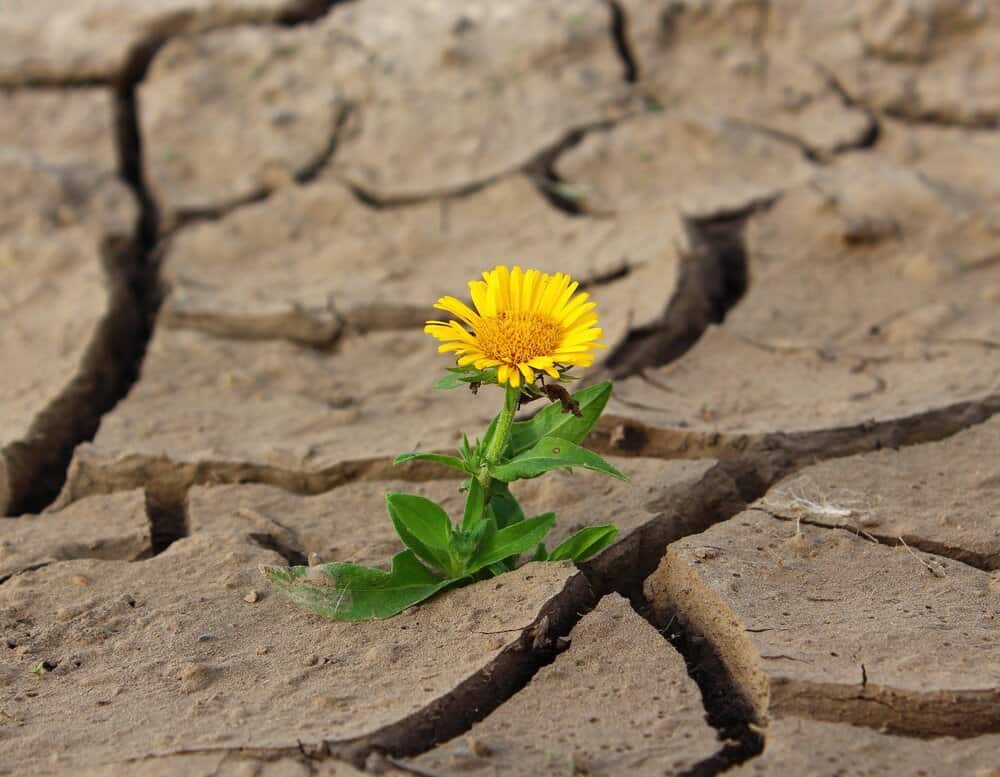 Overwin je angstgevoel en paniekmomenten
