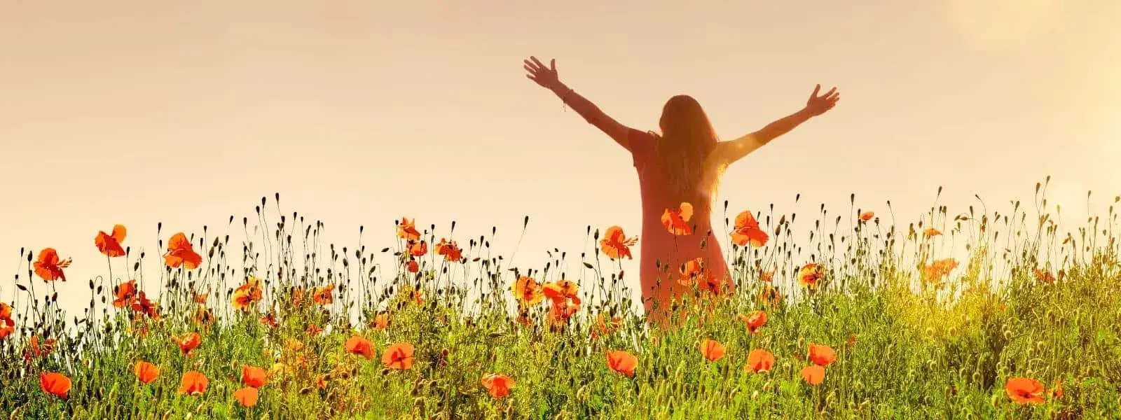 Gratis masterclasses Terra Voice 2